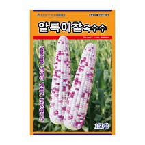 오스템 옥수수씨앗 알록이찰옥수수 150립, 1개