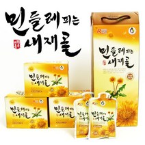 푸르젠 [문경새재골] 들의 꽃 민들레 잎차/민들레엑기스, 02번 민들레 잎차 50g*2