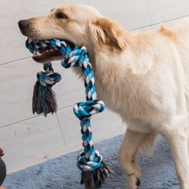 강아지 고양이 애견 장난감 인형 60CM 애완 동물 장난감 큰 개위한 물린 치아 밧줄 개 애마 리트리버 씹는 MJ72806 184aEA2e4, 02 B