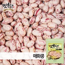 맛봉달 매화콩 얼룩이콩 호랑이콩 강낭콩 울타리콩 새알콩 미국산 22년산, 1개, 500g