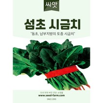 섬초 시금치씨앗 (40g)-동초 남부지방 토종시금치 씨앗