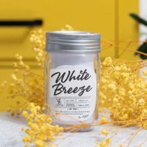 악취 특효처방 피카랩 일본방향제(4종-탈취 & 향 선택)일본직수입 향기좋은 탈취제 잡냄새 땀냄새 옷장 서랍장 차량용탈취제 대용량 145g 젤타입 환경부 초록누리 안전기준 적합상품, B선택-15032 화이트 브리즈