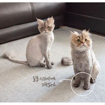 촘촘한 조직 오염방지 방수 러그 육아매트 반려견 애완견 패드 미끄럼 방지