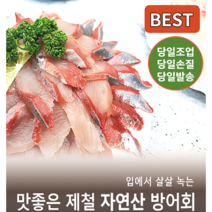 활방어회 국내산 자연산 방어회 당일조업 당일손질 당일발송, 손질후 450-500g 내외