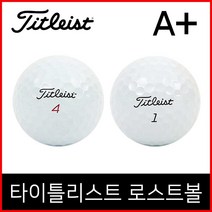 [타이틀리스트골프공로스트] 타이틀리스트 프로 VIX4피스 골프 로스트볼 A+, 20개, 흰색