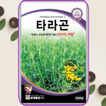 타라곤 씨앗 2000립 허브의 여왕 종자