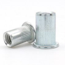 인서트너트 10-20pcs 리벳 너트 플랫 헤드 널링 바디 아연 도금 탄소강 삽입 나사 M3 M4 M5 M6 M8 M10 M12, [07] 10pcs  M12, [02] Zinc Blue Plated