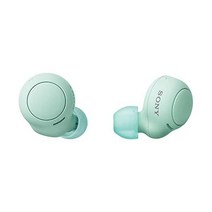SONY 소니 완전 무선 이어폰 WFC500 : /경량소형5.4g/고정밀 통화품질/간편페어링/IPX4 방적성능/아이스그린 WFC500GZ, 단일 항목, 얼음녹색, 아이스 그린