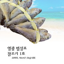 영광 법성포 1호 참조기 20마리 18cm (1.5kg) 내외 국산보리굴비 참조기굴비 찜보리굴비 명품 부세보리굴비 설선물 명절선물 풍부한 영양이 담긴 프리미엄 영광굴비