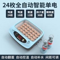 계란 부화기 병아리 병아리집 부하기 메추리 분양 인큐베이터 루딘 인큐베이터 소형 가정용 전자동 스마트 인큐베이터 오리거위 종란, 10 24전자동 단전（새）