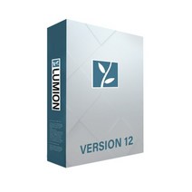 루미온 Lumion Standard 1년 라이선스