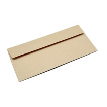 단단한 크라프트지 종이 봉투 175 x 85 mm, 20개