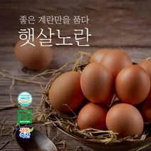 [햇살노란] 생계란 구운계란 무항생제인증 친환경 HACCP 식품안전관리인증 계란 15구 30구 60구, 생계란 대란 30구