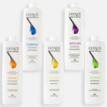 레비브레 이소시아 탈모 두피 케어 샴푸 1000ml 바이탈 샴푸(영양) 앰플 추가 X, 1개