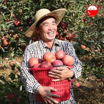 재기네농원 22년 햇 부사 안동 꿀 사과 3.7kg 5kg 10kg, 사과10kg36과