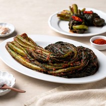 돌산갓김치 3kg 팔팔마켓 전라도 보성엔 녹차 갓 김치
