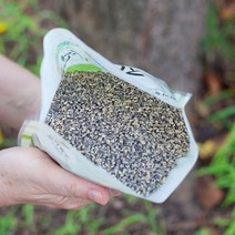 검정 보리쌀 유기농 흑보리쌀 국산 찰보리, 검정찰보리(유기농) 1kg
