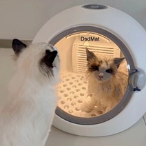 DsdMat 업그레이드 강아지 고양이 애견 드라이룸 펫드라이룸 강아지건조기, 화이트