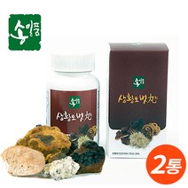 송일품 상황버섯 상황오벗환 100g, 2개