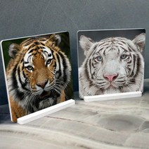 pa745-스탠드액자2P_액운을내쫓는호랑이