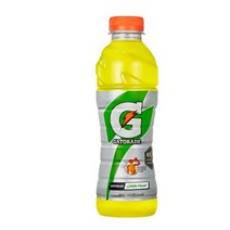 칠성 갈증해소 아미노산 게토레이 레몬 페트 스포츠음료 이온음료 600ML 20개, 12세트