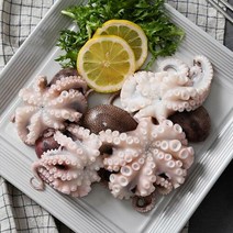 [자연맛남] 태안 당일조업 활 주꾸미 1kg(암수랜덤 빙장포장 15미내외)