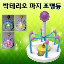 박테리오 파지 조명등 만들기 (1인용 단어 가르치기 한글 낱말 카드 어린이집 유치원 초등 학교 학생 학습 교구 홈스쿨