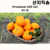 [제주 서귀포 산지직송] REAL 제주 레드향 과일선물 최고당도 선물세트 농장 황금향 선물용 3kg 5kg, 명품한라봉 선물세트 5kg