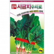 (시금치종자씨앗) 수시로시금치(400g)