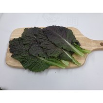 [특급] 적겨자 500g 1kg, 적겨자500g