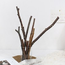 달리베리 국내산 자작나뭇가지(1개) 낱개 크리스마스 트리 가랜드 원데이수업재료