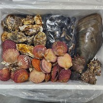 모듬조개세트 캠핑세트 찜 구이 탕 조개모음 홈파티 가족, 모듬조개세트 4kg(키조개 포함)