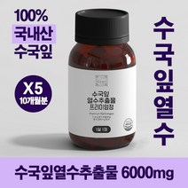 이상한약방 수국잎 열수 추출물 프리미엄 정 60알 10개월분 식용 분말 가루, 60정*10개월분