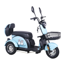 삼륜차 전기 자전거 노인 여성 장보기 배달 자전거, 플래그십/장거리  48V 23A 100마일