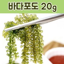 대진엠에스 바다포도 20g 1팩 ASMR 건강식품, 1개