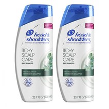 헤드앤숄더 잇치 스캘프 케어 안티 댄드러프 비듬 샴푸 700ml 2개