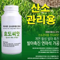 푸르네오 산소관리용 잔디씨앗 효도씨앗 씨앗 조선잔디