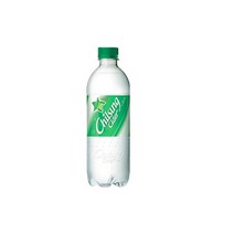 기타 칠성사이다업소용500ml12입/SH, 단일