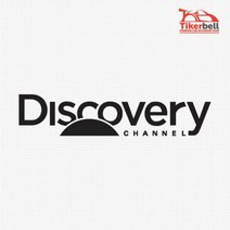 디스커버리 Discovery 캠핑 데칼스티커 자동차선물 자동차스티커 첫차선물 튜닝용, 1개, 화이트 대형
