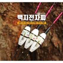 미라클피싱 백지 나노전자찌 5점등 민물전자찌, 2호