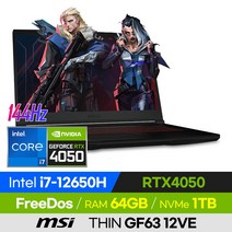 [사은품 증정!] MSI THIN GF63 12VE i7 가성비 고사양 배그 롤 오버워치 로아 발로란트 12세대 15인치 게이밍 노트북 (코어i7-12650H/RTX4050), 블랙, 코어i7, 1TB, 64GB, 윈도우 미포함