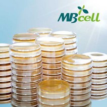 MRS Agar Plate/ MBcell 미생물 배지/ 생배지-제조된 배지/ 유산균 배양배지, 50Ea