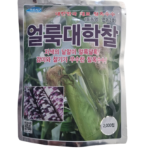 연농2호 얼룩대학 찰옥수수 씨앗 2000립 [23년포장], 얼룩대학찰, 1개
