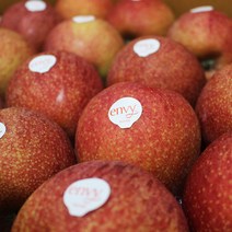 고당도 예산 엔비사과 꿀 사과 5kg 15-20과 내외, 단품