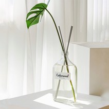 대용량 디퓨저 바닐라빈 시더우드 500ml 볼름에릭스 선물용 실내 방향제 천연 디퓨져, 시더우드+블랙섬유스틱, 장식04_몬스테라