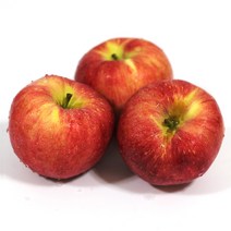 예존 정품 가정용 경북 빨간 햇 사과, 1개, 3kg, 소과