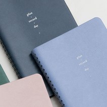 AONIS 생각보관함 데일리 매니저, 05 애플민트