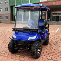 골프장카트 전동카트 전기카트 청도 경쟁 좋은 품질 전기 골프 카트, [03] 6 seats