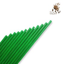 식물지지대 10개 세트 텃밭 주말농장 식물 지주대 넝쿨 화분 화초 지지대, 70cm 10개