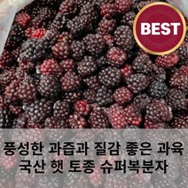 새콤달콤 풍성한 과즙 햇 토종 블랙베리 슈퍼복분자 3kg 5kg 복분자주 복분자액기스 복분자잼 벌크 대용량, 23년 햇 슈퍼복분자(블랙베리)벌크3kg, 1개